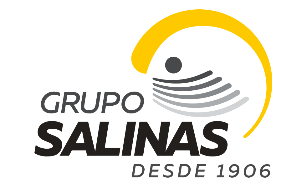 Grupo Salinas
